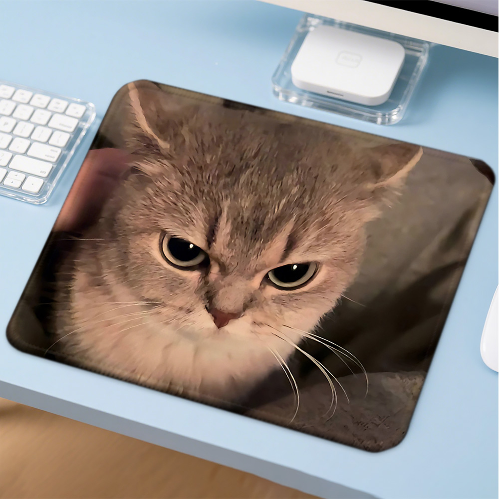 Mosepad Kawaii Funny Cat Compu - đánh giá và giá Gaming Accessories Companies